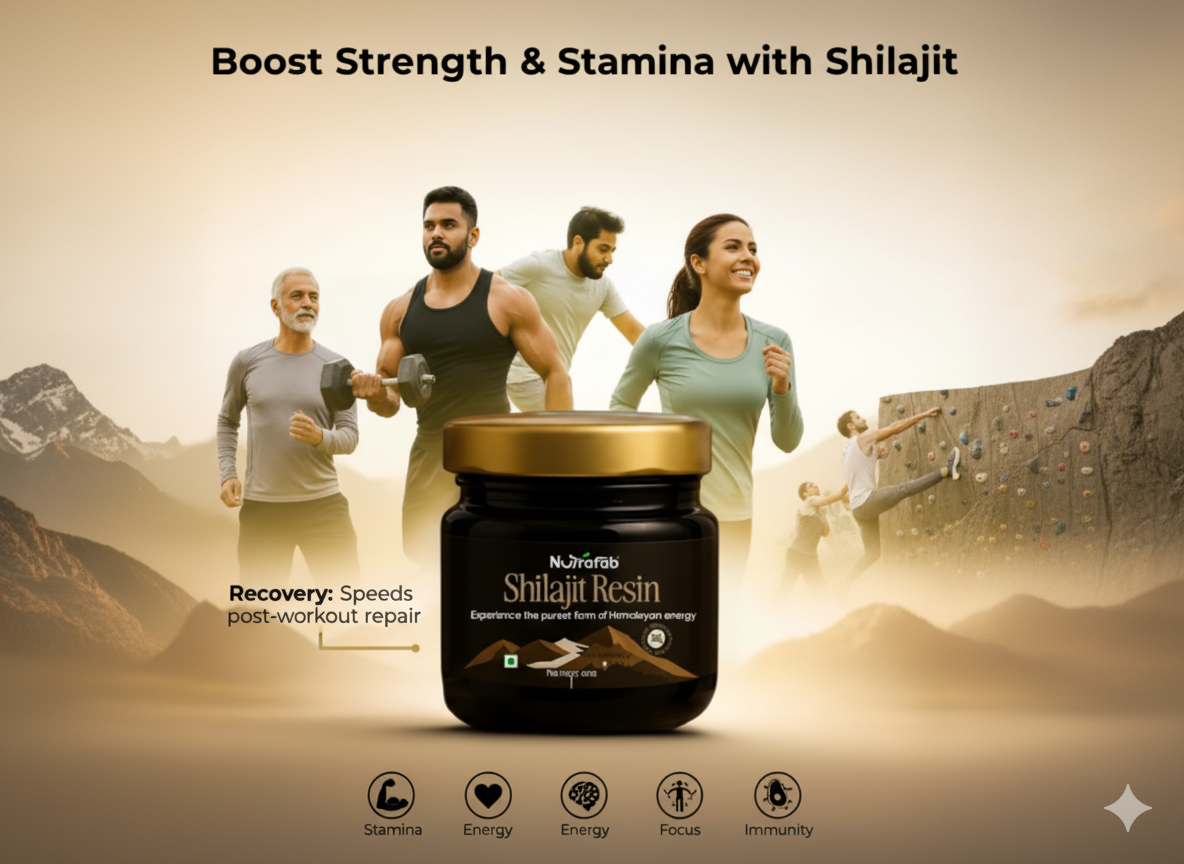 NutraFab Shilajit Capsules