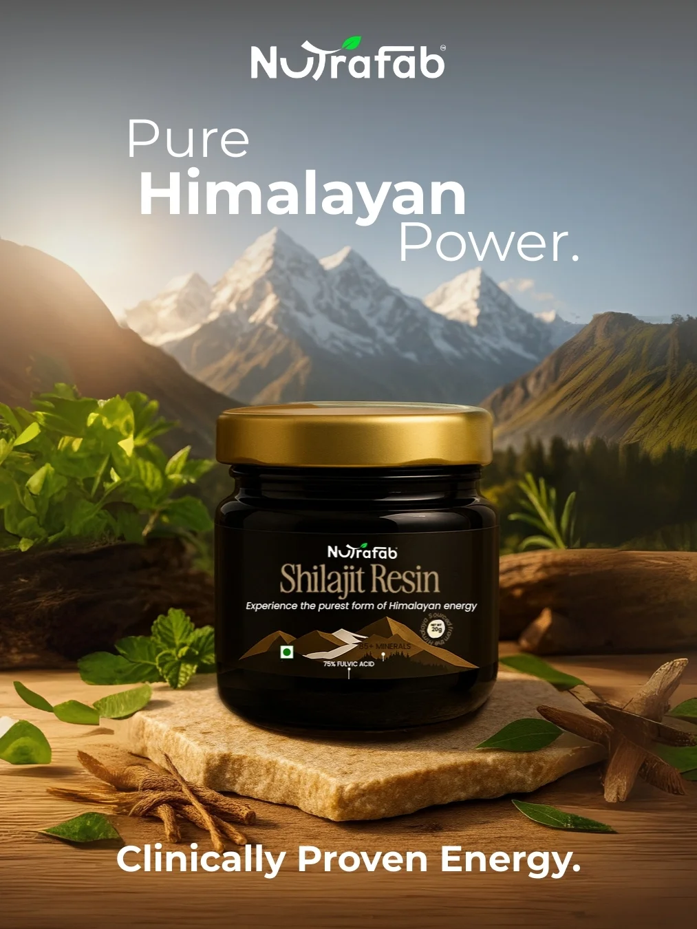 Nutrafab Pure Himalayan Shilajit – Power, Performance & Vitality in Every Capsule